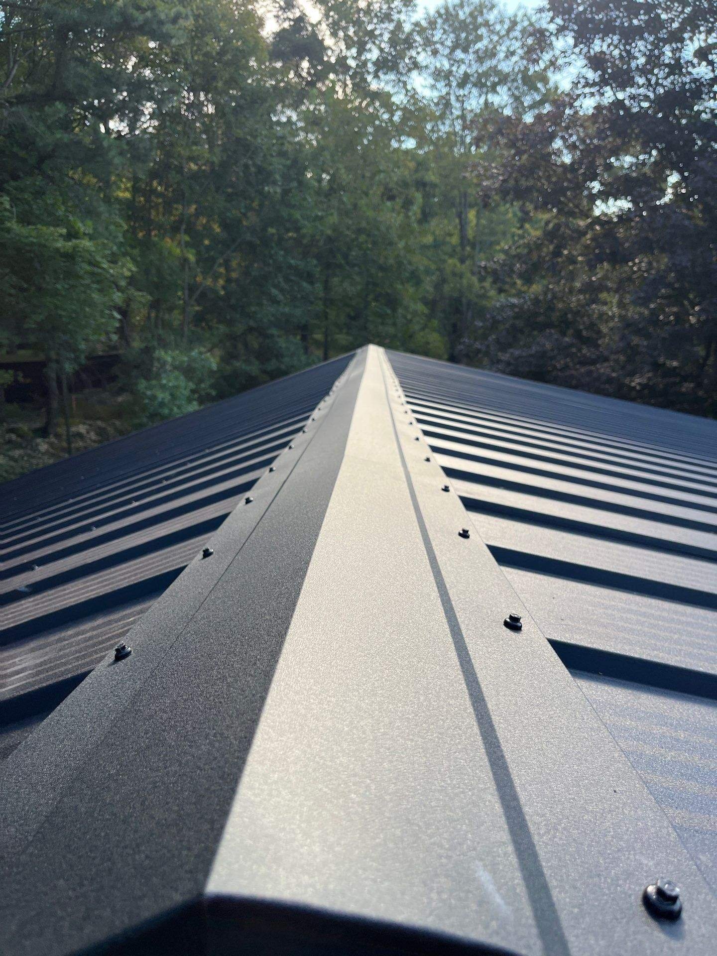 black textured metal in a Pro appearance panel, over synthetic underlayment on lath