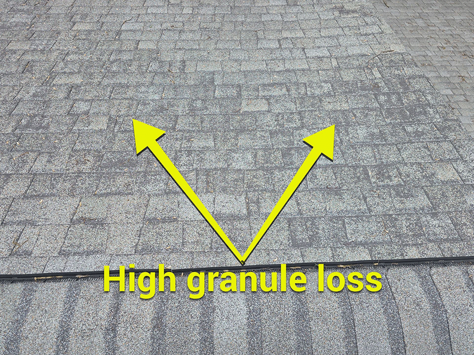 High granule loss on shingle roof in Williamsport PA