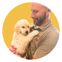 Equity Roofing team member holding a golden retriever puppy