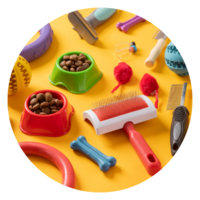 Pet bowls, toys and grooming brushes on a yellow background