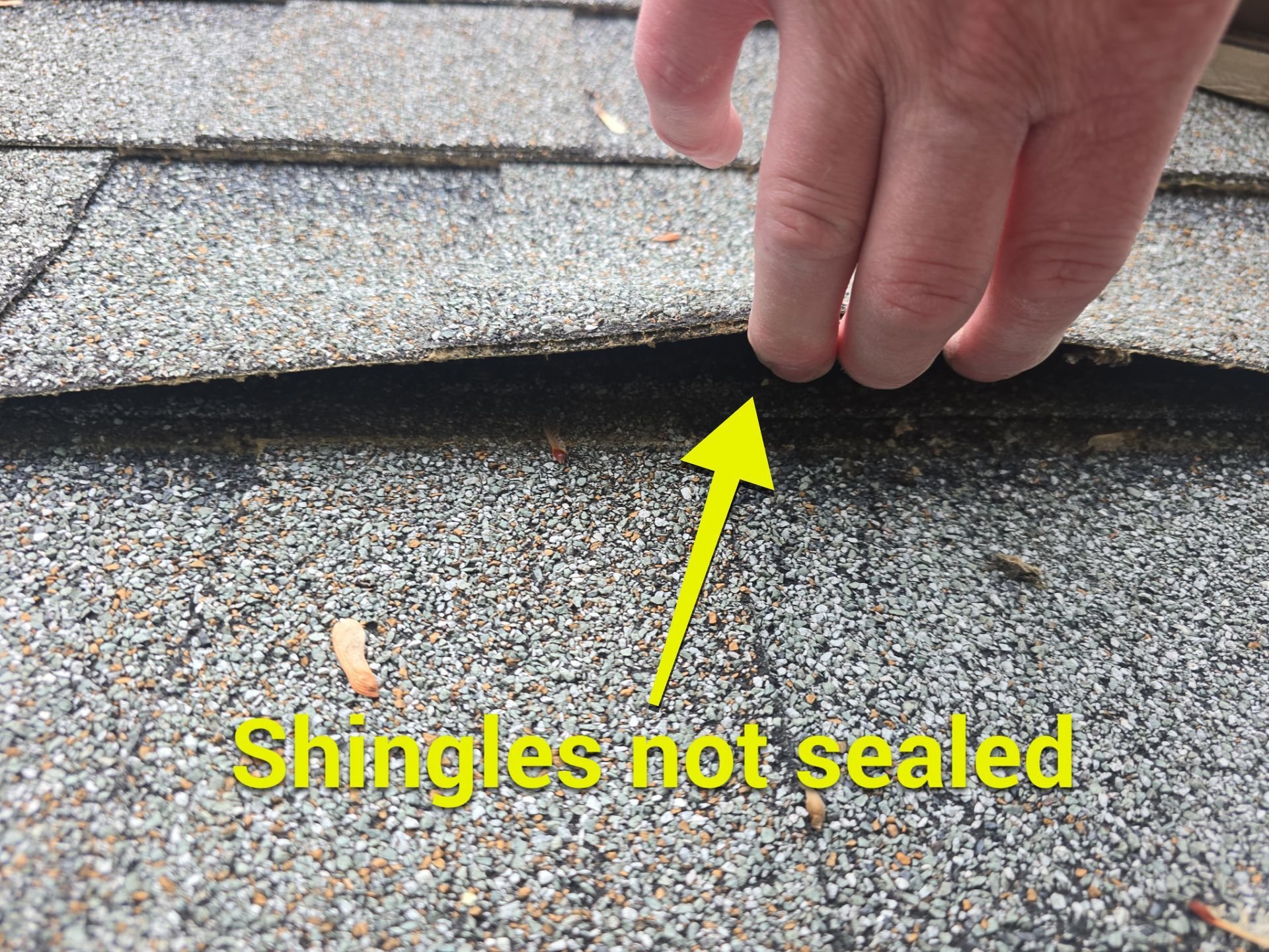 Shingles not sealed on Williamsport PA roof