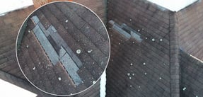 Untitled design (32)