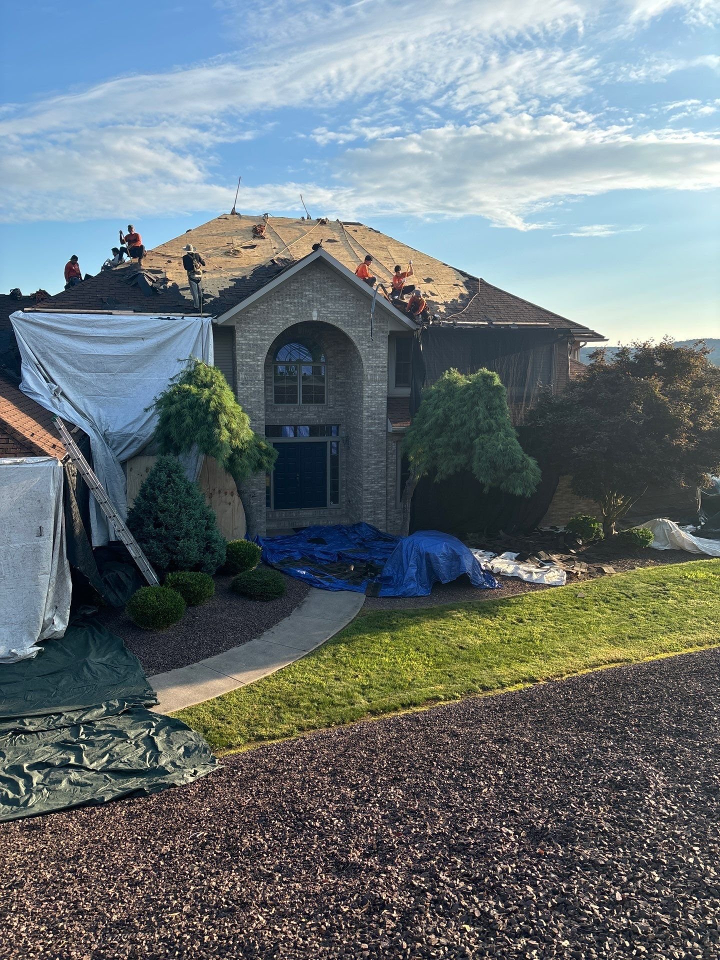 Williamsport PA roof replacement with landscape protection