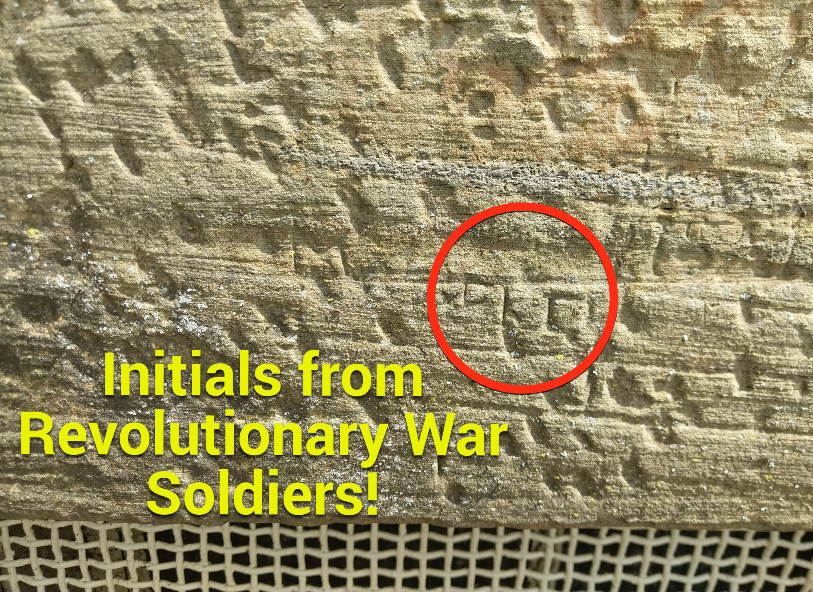 e74ac48b-c114-419c-91d7-5f55596e73ef