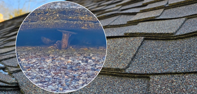 Popped nails on shingle roof